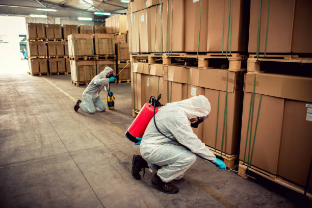 Best Ant Control Services  in Galesburg, MI