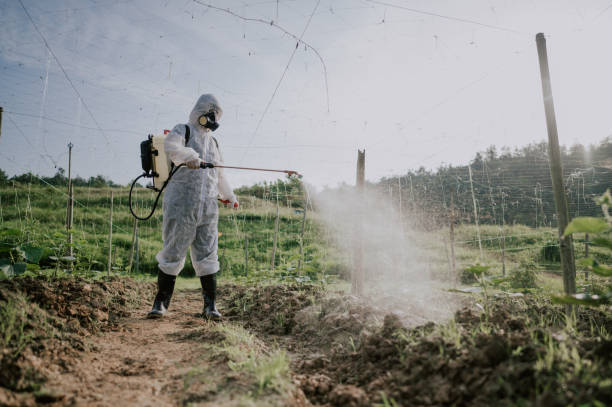 Best Best Pest Control Companies  in Galesburg, MI