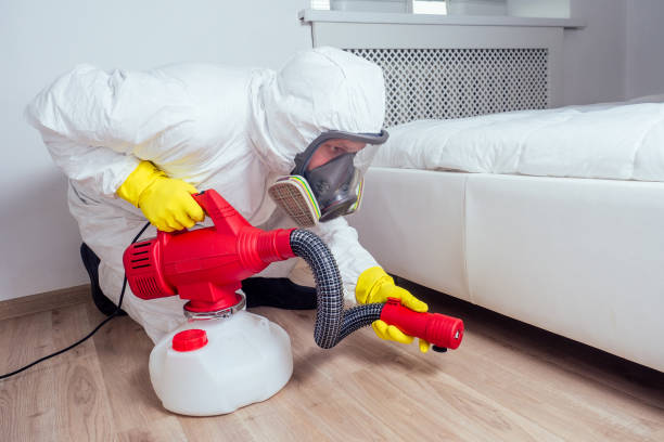 Best Flea Control Services  in Galesburg, MI