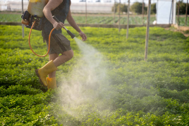 Best Local Pest Control Services  in Galesburg, MI