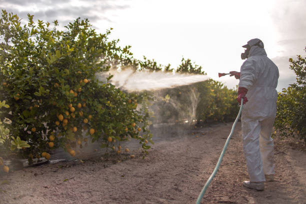 Best Wasp Removal Services  in Galesburg, MI