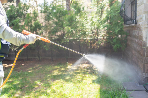 Best Wasp Removal Services  in Galesburg, MI