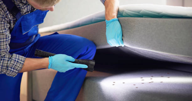 Best Pest Control Near Me  in Galesburg, MI