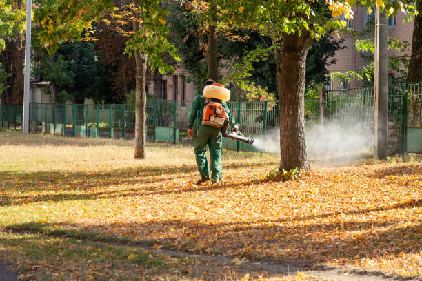 Best Emergency Pest Control  in Galesburg, MI