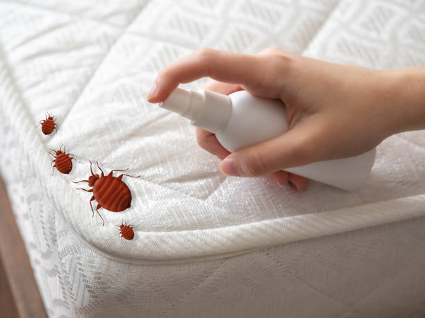 Best Pest Inspection Near Me  in Galesburg, MI