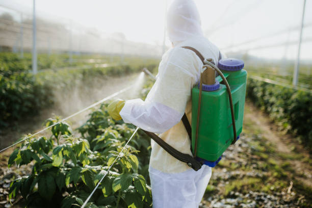 Best Pest Control Near Me  in Galesburg, MI